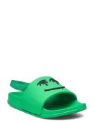 Zhappy Green Molo