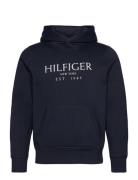 Big Hilfiger Hoody Navy Tommy Hilfiger