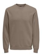 Onsceres Life Crew Neck Brown ONLY & SONS