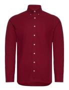 Ess Gmt Dyed Oxford Burgundy Hackett London