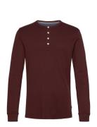 Solid Granddad L/S Burgundy Lindbergh