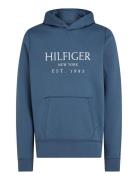 Big Hilfiger Hoody Blue Tommy Hilfiger