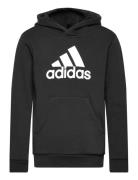 U Bl Hoodie Black Adidas Sportswear