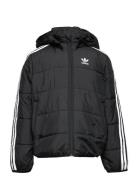 Padded Jacket Black Adidas Originals