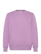 Reg Shield C-Neck Sweat Purple GANT