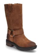 Brimfield Tall Pull On Boot Dark Brown Suede Brown Timberland