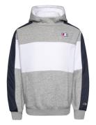 Hooded Sweatshirt Grey Champion