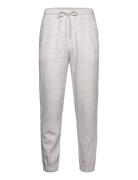 Hco. Guys Sweatpants Grey Hollister