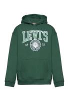 Levi's® Sporty Pullover Hoodie Green Levi's