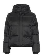 Masella Jkt W Black SNOOT