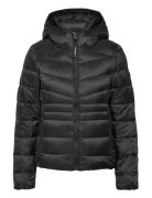 Hooded Fuji Quilt Padded Jkt Black Superdry