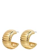 Remy Ridged Hoops- Gold Gold LUV AJ