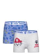 Boxer Blue Paw Patrol