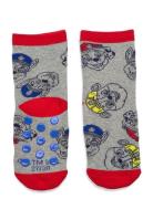 Socks Patterned Paw Patrol