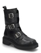 Clipper Boots Black Steve Madden