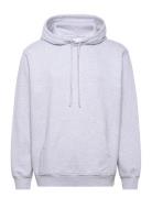 Nb Half Moon Hoodie Grey Purple Nikben