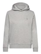 Reg Hoodie Grey GANT