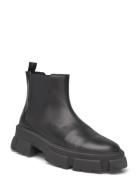 Travis Chelsea Boots Black Steve Madden