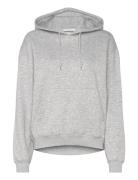 Standard Hoodie Grey Weekday