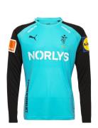 Dhf Teampacer Gk Ls Jersey Blue PUMA