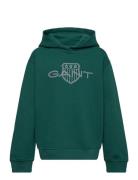 Relaxed Contrast Shield Hoodie Green GANT