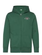 Graphic Fullzip Hoodie Green GANT