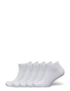 5 Pk Low Cut Sock White Lindbergh