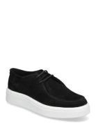 Fayles Sneaker Black Steve Madden