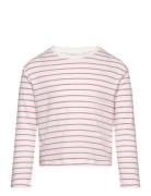 100% Cotton Striped T-Shirt Pink Mango