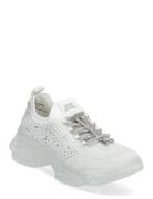 Meter Sneaker White Steve Madden