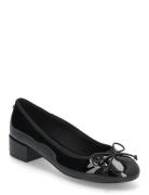 Cherish Ballerina Black Steve Madden