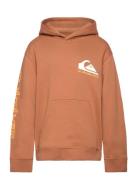 Omni Logo Hoodie Youth Brown Quiksilver