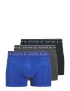 Jacron Solid Trunks 3 Pack Jnr Blue Jack & J S