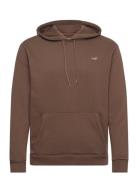 Hco. Guys Sweatshirts Brown Hollister