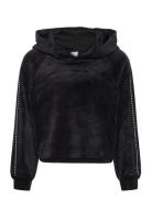 Sweatshirt Velour With Hood Black Lindex