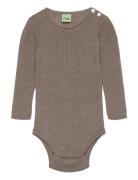 Baby Rib Body Brown FUB