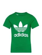 Trefoil Tee Green Adidas Originals