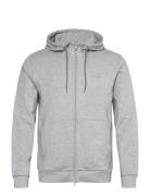 Sweatshirt Grey EA7