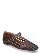 Yeida Chocolate Brown Ballerina Brown MIISTA