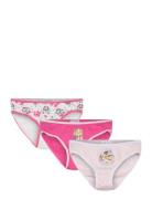 Panties Pink Paw Patrol