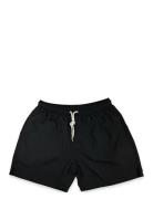 Solid Swim Shorts Black Portia 1924