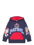 Sweats Navy Paw Patrol