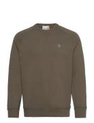 Loopback Crew Neck Sweatshirt Green Timberland