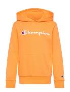 Hooded Sweatshirt Orange Champion