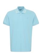 Bhedin Polo Blue Blend