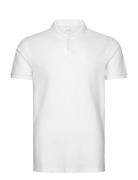 Hco. Guys Knits White Hollister