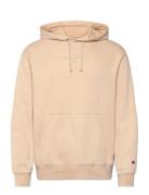 Hooded Sweatshirt Beige Champion