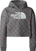 The North Face Girls' Light Drew Peak Printed Hoodie Smoked Pearl TNF ...