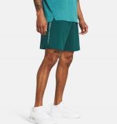 Under Armour Men's UA Tech Woven Wordmark Shorts Blue