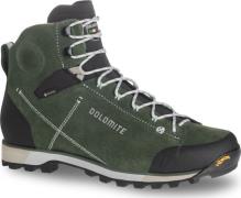 Dolomite Men's 54 Hike Evo GORE-TEX Olive Green